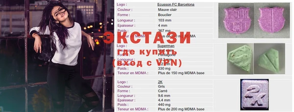 СК Каменногорск