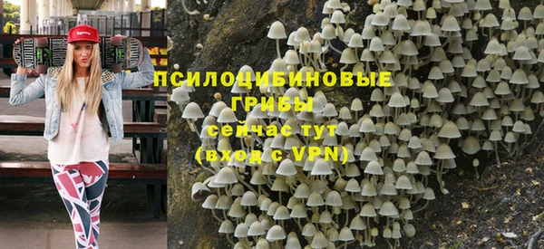 мескалин Каменка