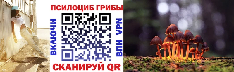 Псилоцибиновые грибы MAGIC MUSHROOMS Истра