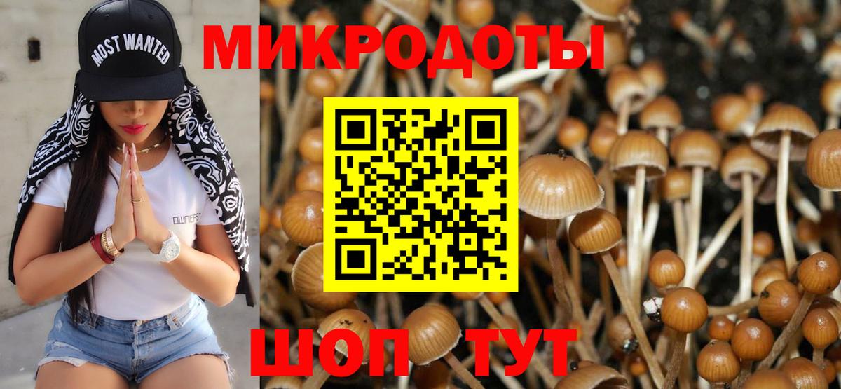 Псилоцибиновые грибы ЛСД Истра