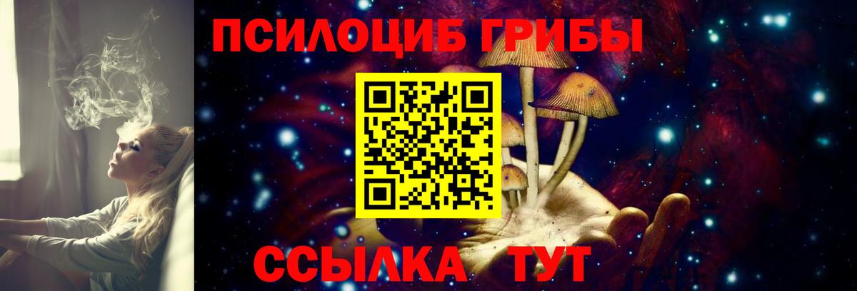 Истра  Псилоцибиновые грибы MAGIC MUSHROOMS  Вход с VPN  Галлюциногенные грибы Magic Shrooms 