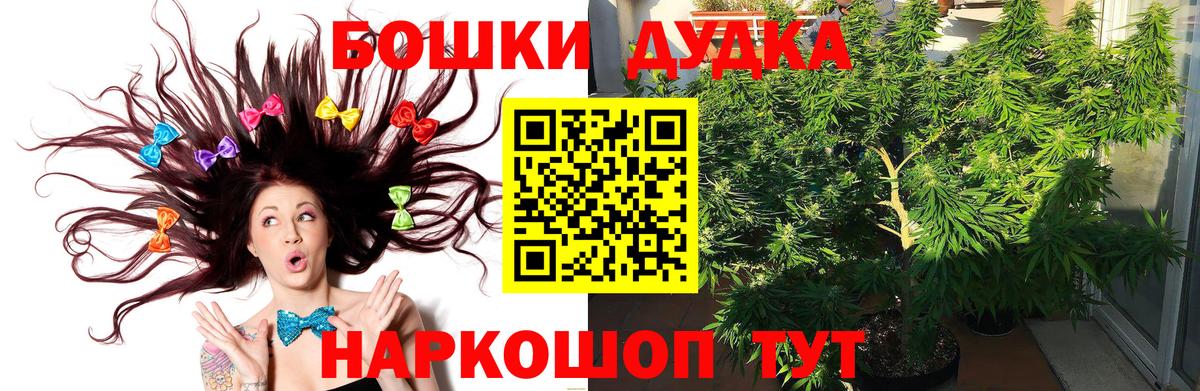 Конопля ГИДРОПОН  Канабис планчик  Истра  Вход с VPN 
